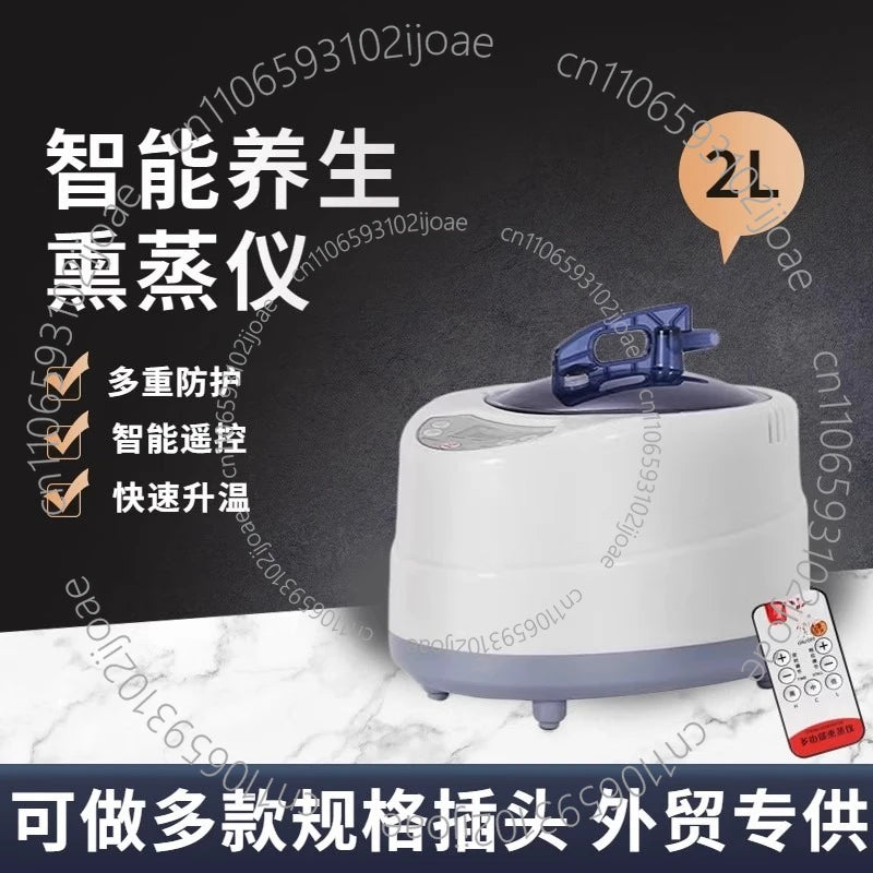 Steam Generator 220V/110V EU US Plug 1000W Upgrade Capacity 2L Home Steamer Pot for Sauna Water Vapor