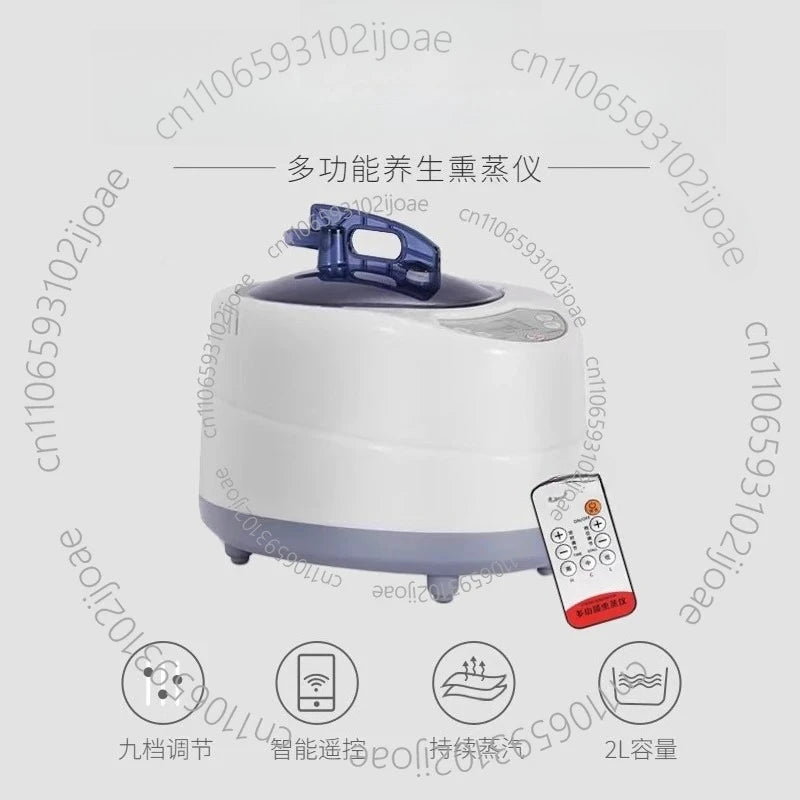 Steam Generator 220V/110V EU US Plug 1000W Upgrade Capacity 2L Home Steamer Pot for Sauna Water Vapor