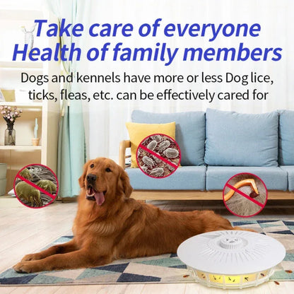 Household Flea Trap Lamp Indoor Trap Mosquito Flies Cockroach Lamp - Shello's Creative Boutique