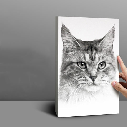 Deli 73940 Blank Sketch Paper for Painting Drawing Tool, 20sheets/pack 8K 180g, 20sheets/pack 4K 180g