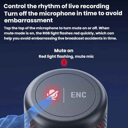 Condenser Microphone Computer Phone Recording Video Live Receiving Noise Reduction USB Mic