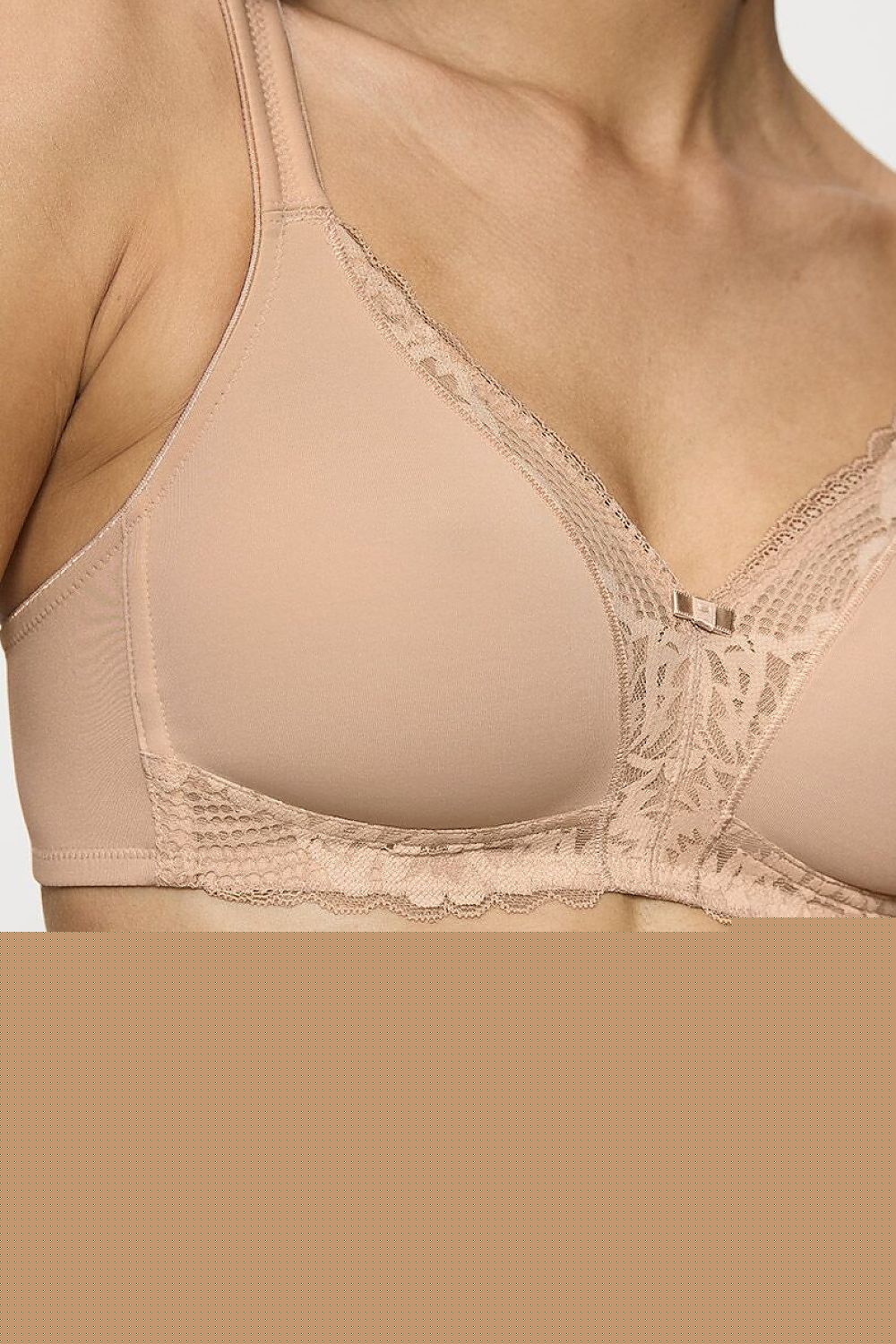 Soft model 229508 Triumph 
