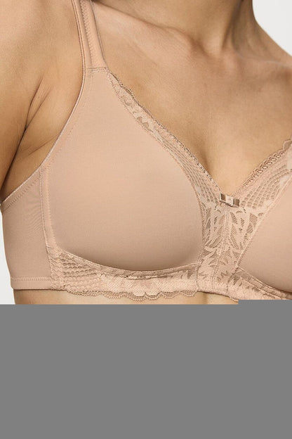  Soft model 229508 Triumph 