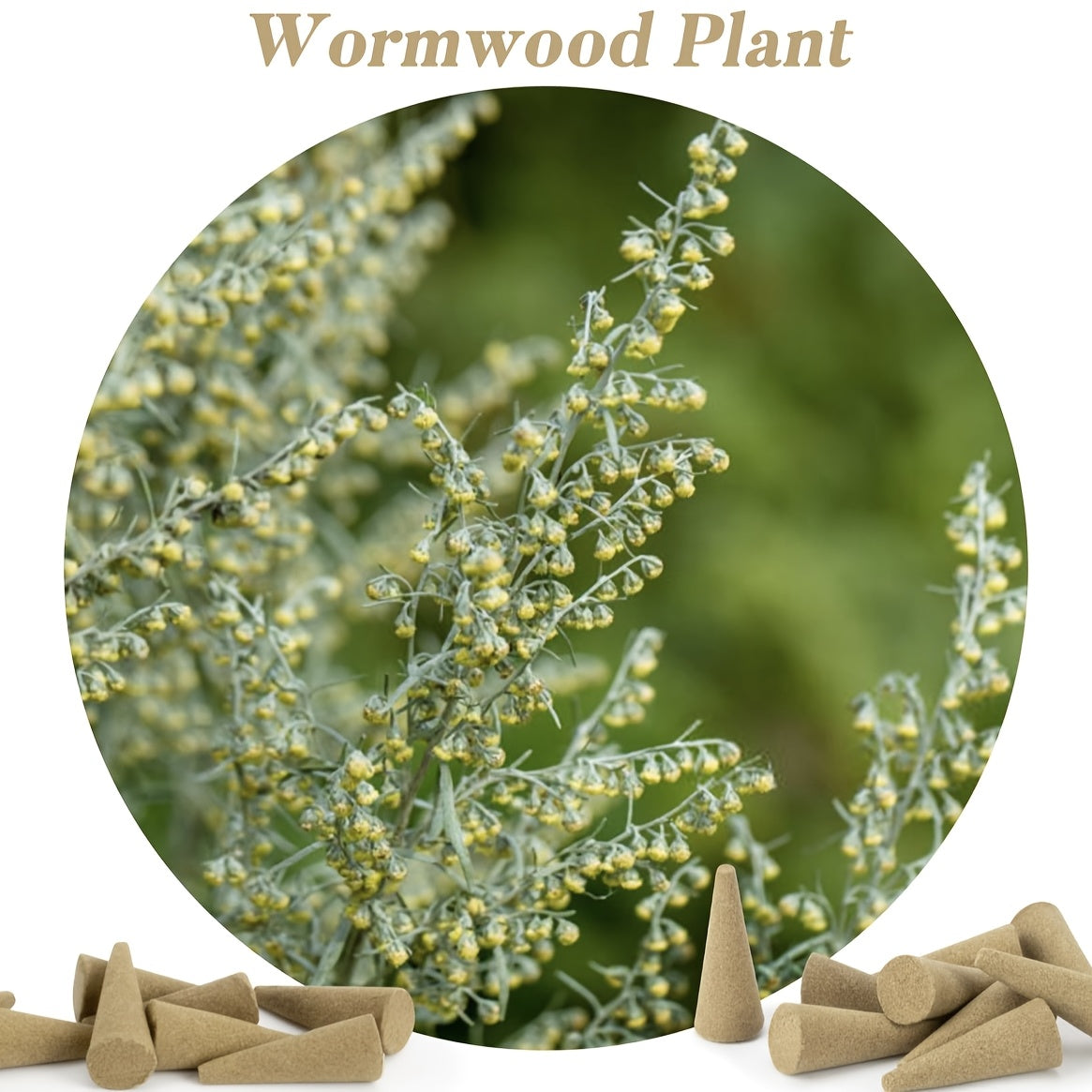 100pcs Sandalwood & Mugwort Incense Cones - Long-Lasting Fragrance for Home & Yoga - Shello's Creative Boutique