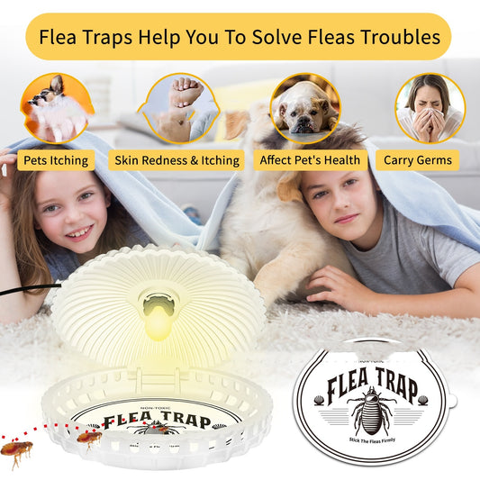 Shell-Shaped Flea Trap Lamp - Stylish Pet Household Flea Catcher