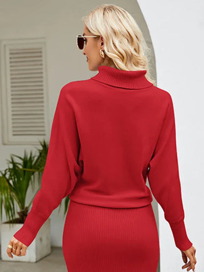 Women's Turtleneck Long Sleeve Slim Fit Sweater Dress – Shello Creative Boutique - Shello's Creative Boutique
