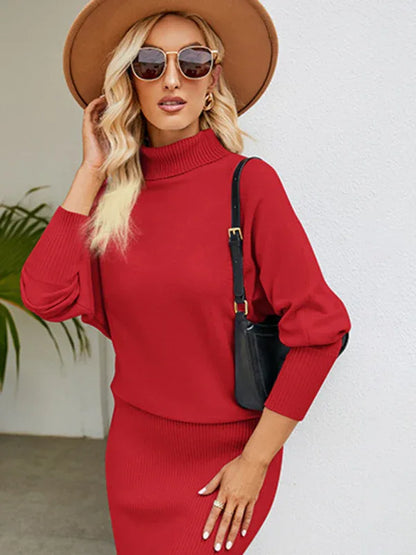 Women's Turtleneck Long Sleeve Slim Fit Sweater Dress – Shello Creative Boutique - Shello's Creative Boutique